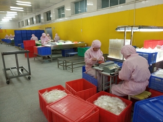 Qingdao  Opal Industrial Co.,Ltd