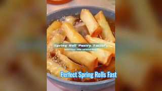 Fábrica china de envoltorios de rollitos de primavera congelados | Estándar de la UE, comida para llevar del Reino Unido y exhibición adaptada de comida rápida