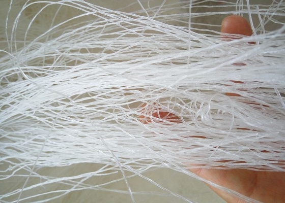 Noodles OEM Longkou Vermicelli para embalaje y marca personalizados