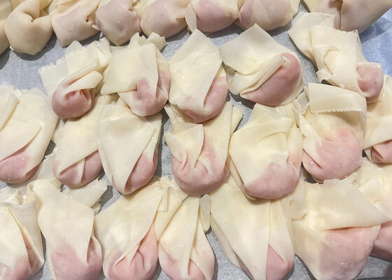 Envoltorios de wonton | Certificado BRC y HALAL | Fábrica estándar de la UE