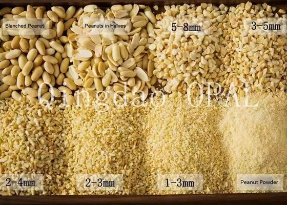 Nuez de cacahuete pelada premium, certificada HALAL y conforme a la UE, cacahuetes crudos sin piel para importar