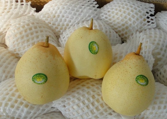 Pera oriental deliciosa