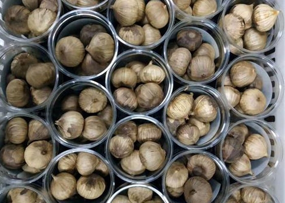 El solo fermentó el ajo negro