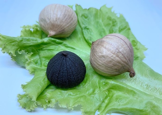 los 3.5cm deshidrataron el ajo negro