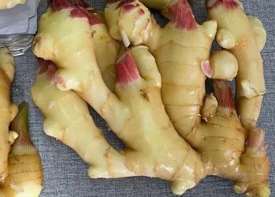 jengibre secado aire 300g amarillo