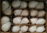 Peras blancas de Ya del chino de HACCP