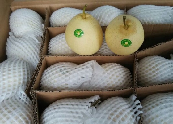 Pera blanca china quebradiza
