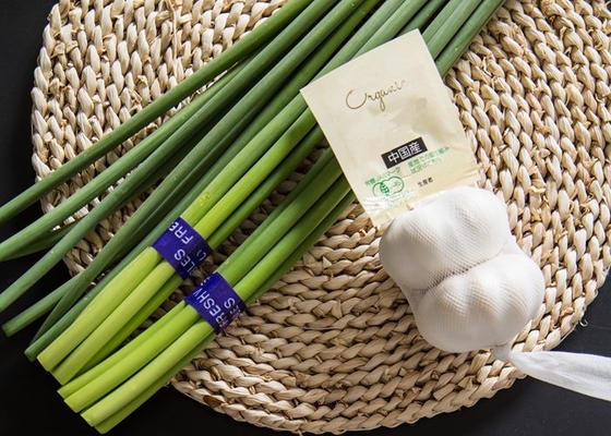 Perno fresco del ajo de HACCP