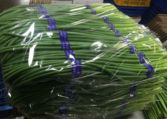 Ajo que produce los brotes verdes de los tallos de los troncos