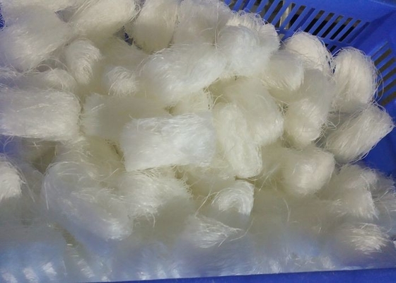 Cocinar Mung Bean Glass Noodles