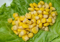 Las verduras de la seguridad estañaron el maíz dulce conservado en jarabe